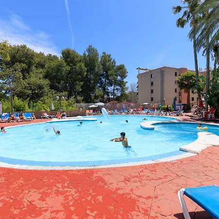 Festival Village Apartment *